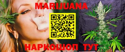 сатива Новозыбков