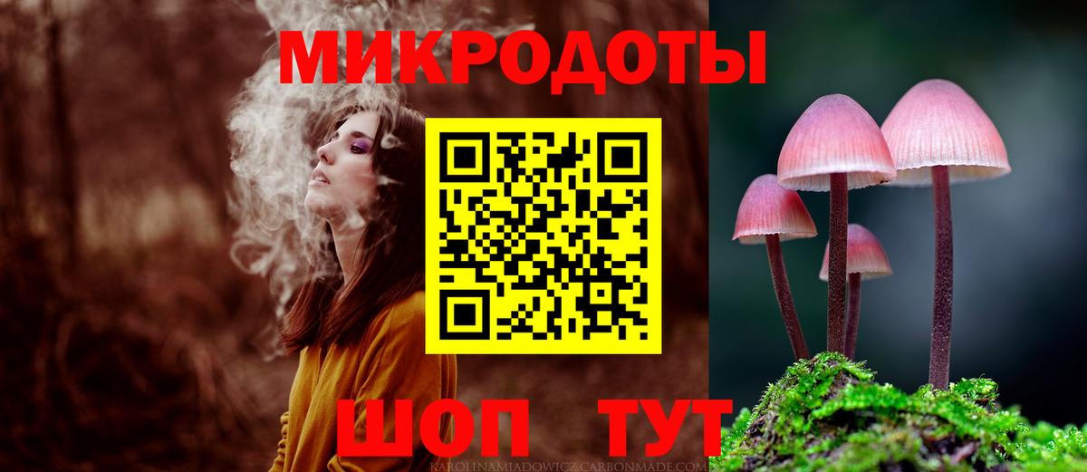 Тимашёвск  Галлюциногенные грибы Cubensis  Вход с VPN 